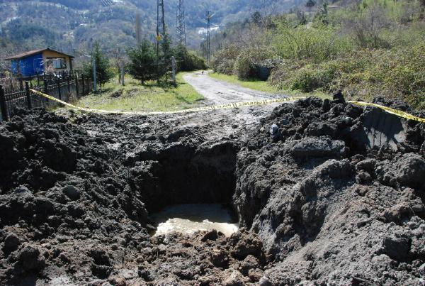 Amasra’da sit alanı yakınında iş makinesiyle define kazısına 4 gözaltı