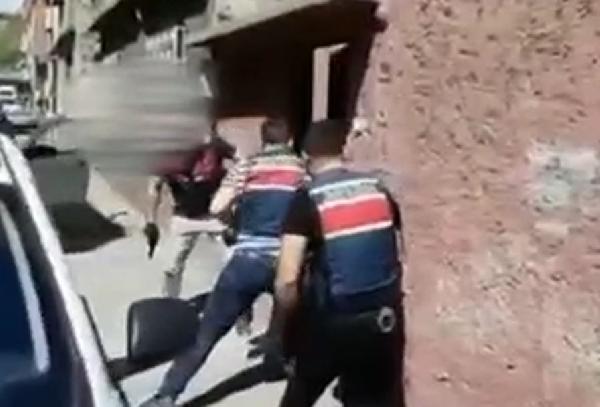 Gaziantep'te 33 kilo bonzai ele geçirildi; 5 kişi tutuklandı 