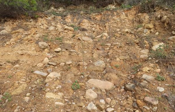 Prof. Dr. Hüseyin Öztürk: Ölü faylar 'tamamen ölmedik' diye ses veriyor