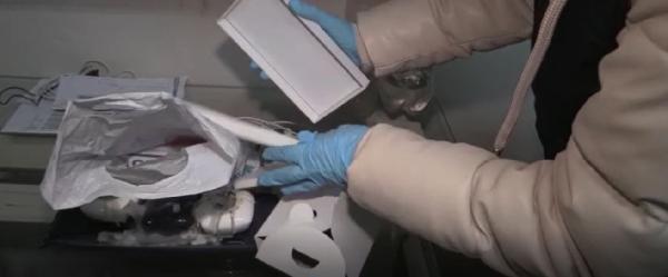 Samsun merkezli yasa dışı bahis operasyonunda 31 şüpheli daha adliyede (2)