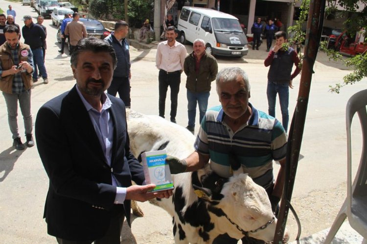 Sarıgöllü hayvan üreticilerine antiparaziter preparat desteği