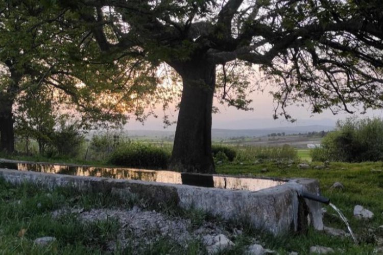 Bursa Yenişehir'de 15 yıldır dere suyu içiyorlar!