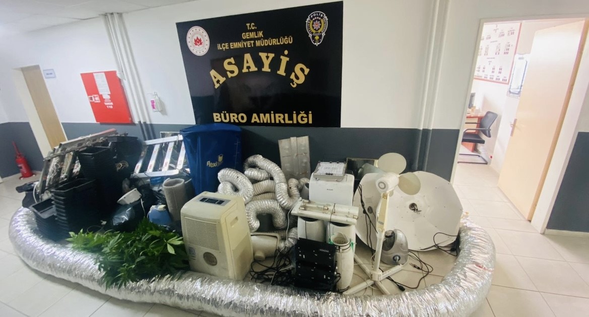 Bursa’da evini uyuşturucu serasına çeviren şüpheli gözaltına alındı