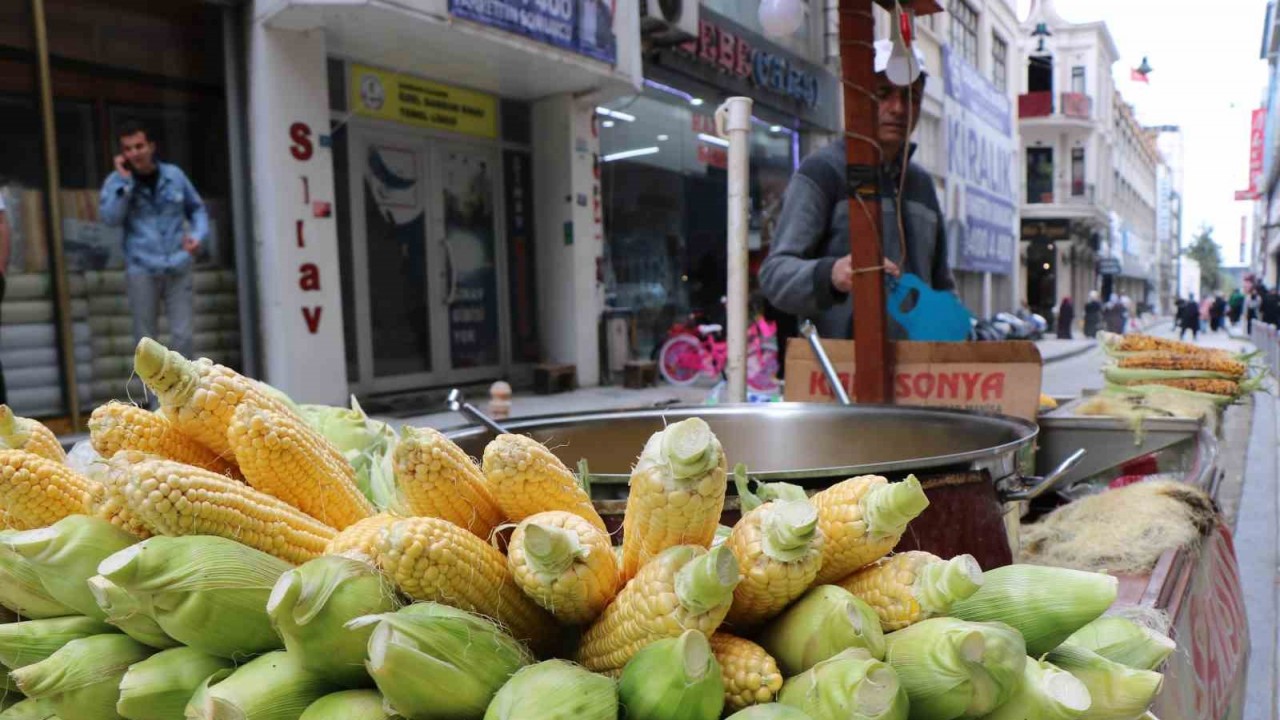 Süt mısırları tezgaha indi