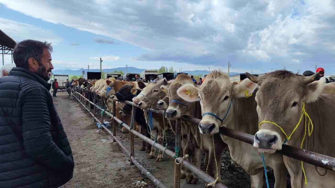 Türkiye’nin en büyük hayvan pazarı yeniden açıldı