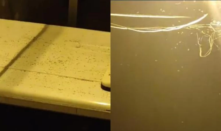 İstanbul’da sivrisinek tedirginliği