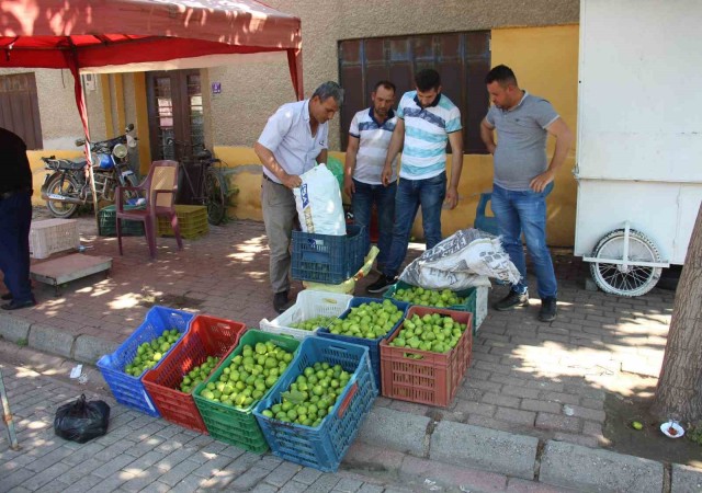 Pazarda sinekli meyvenin kilosu 40 TLden alıcı buluyor