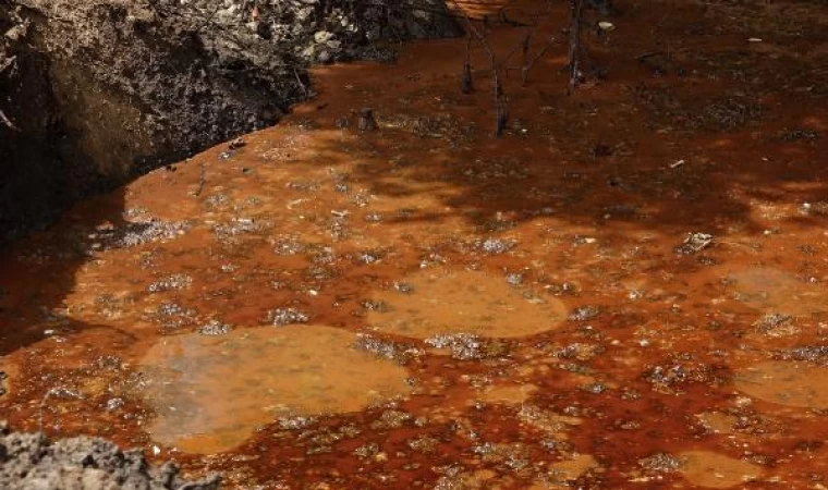 Atıklar derenin rengini değiştirdi; OSB’ye ceza, 3 fabrikaya kapama