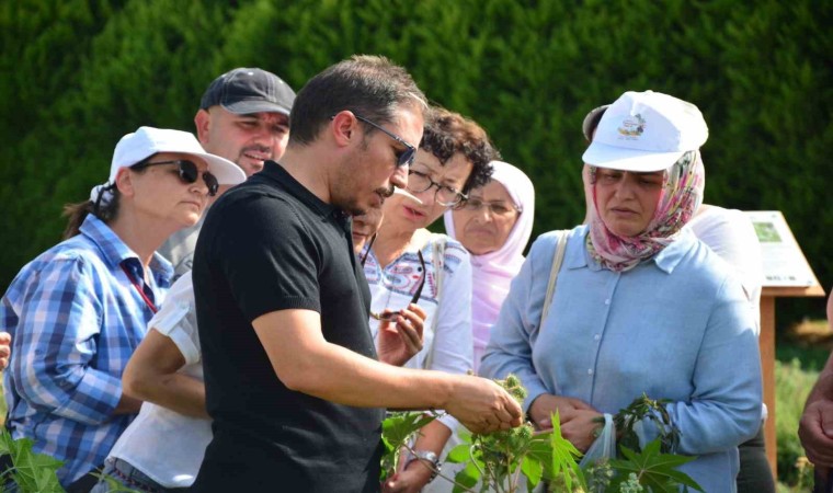 Balıkesirde bahçıvanlık kursuna kadınlardan yoğun ilgi
