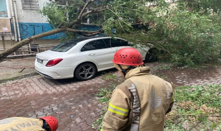 Beşiktaş’da otomobilin üzerine ağaç devrildi