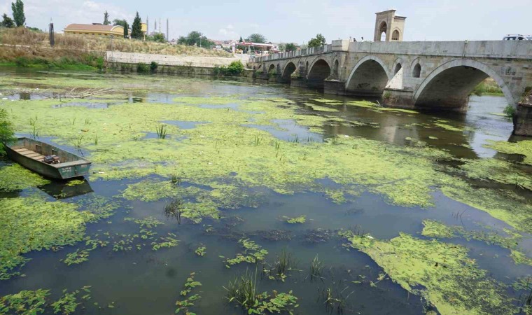 Edirnede Tunca Nehri plastik atıklar ve çöplerle kaplandı