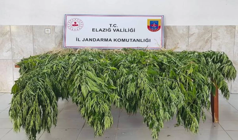 Elazığ’da uyuşturucu operasyonu: 3 gözaltı