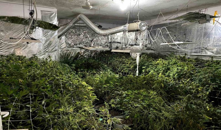 Mersinde bahçesinde uyuşturucu yetiştiren bir şüpheli yakalandı