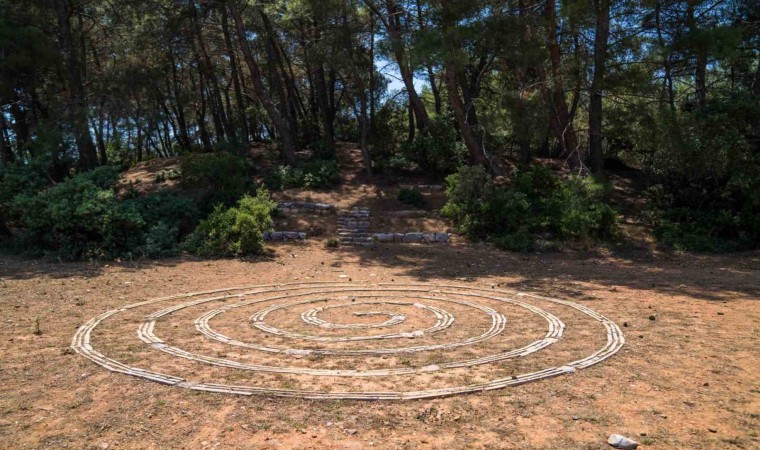 Olivelo Yaşayan Parkta safari turları yarın başlıyor