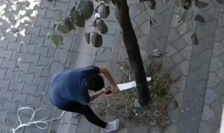 Sultangazi’de testere ile ağacı kesmeye çalıştı