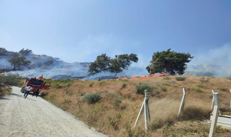 Bahçe yangını büyümeden söndürüldü