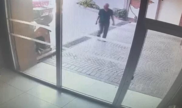 Bakırköy’deki Pitbull saldırısı: Sahipleri yakalandı