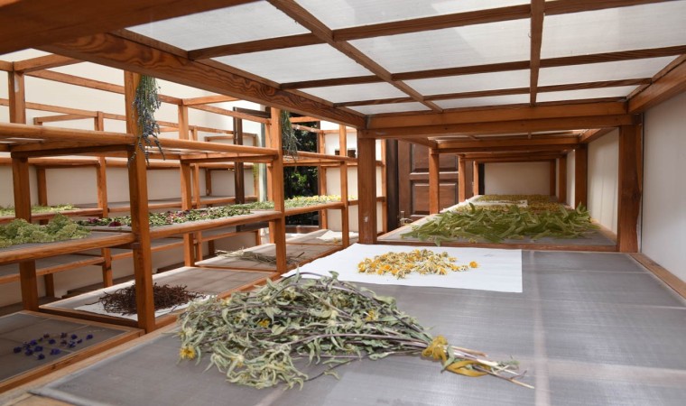 İstanbulun ortasında şifa dolu bir bahçe