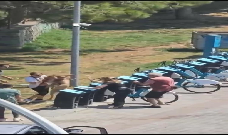 Kadıköy’de tasmasız gezdirilen köpek dehşet saçtı