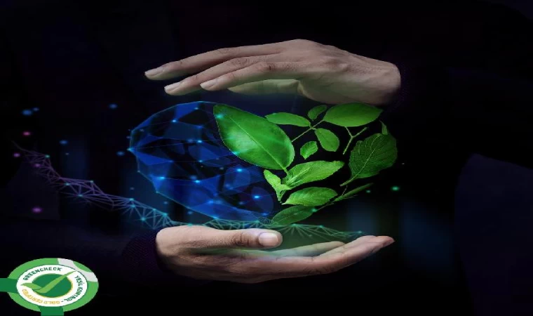 Turkcell’e ‘sürdürülebilirlikte mükemmellik’ skoru