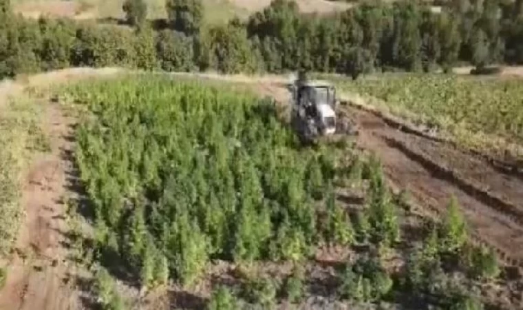 Bakan Yerlikaya: Diyarbakır’da 2 ton 120 kilo esrar ile 13 milyon 514 bin 550 kök kenevir ele geçirildi