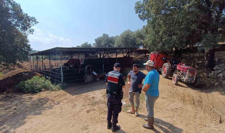 Jandarma ekipleri hayvan sahiplerini uyardı