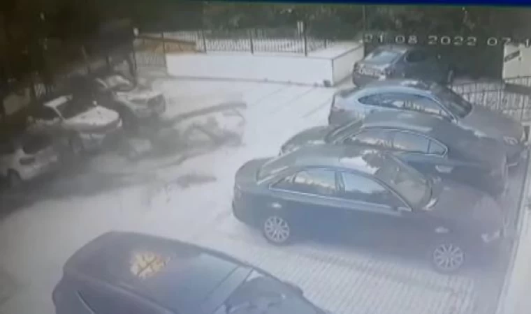 Kadıköy’de aracın üstüne devrilen ağaç 51 daireyi icralık etti