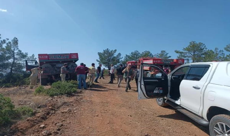 Kütahya’da orman yangını (2)