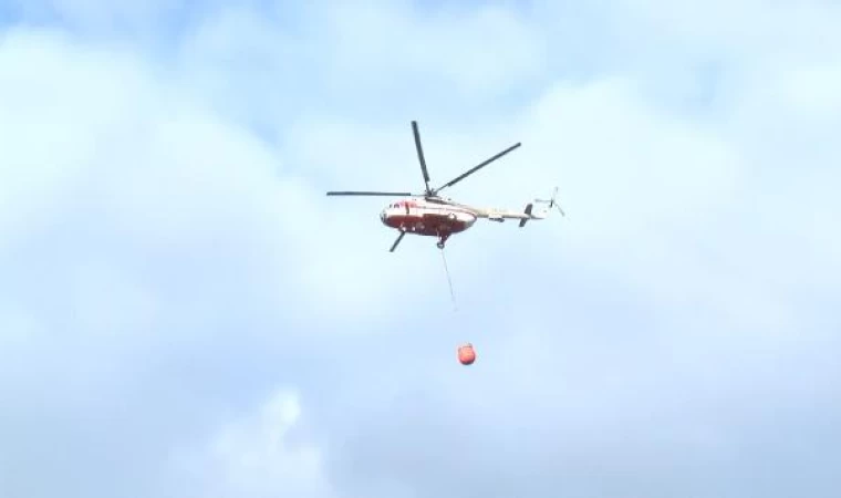 Sultanbeyli Aydos Ormanı’nda yangın