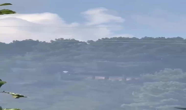 Sultangazi Kent Ormanı’nında yangın çıkarıp kaçtılar iddiası