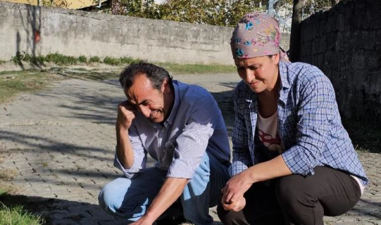 Baktığı köpekler darbedilip, öldürüldü