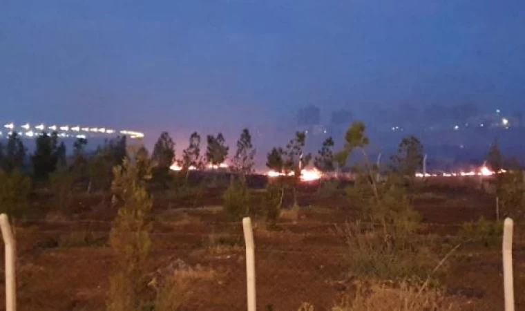 Diyarbakır’da Şehir Ormanı bitişiğinde yangın; itfaiye önce su sonra kürekle müdahale