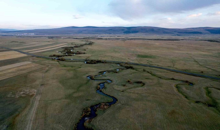 Doğanın kılcal damarları menderesler havadan görüntülendi