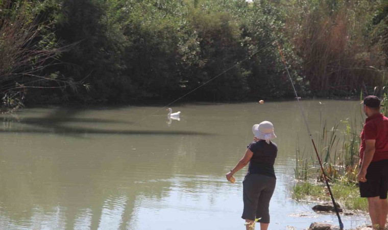Kamışlık alanda mahsur kalan yaralı ördek, itfaiyeyi alarma geçirdi