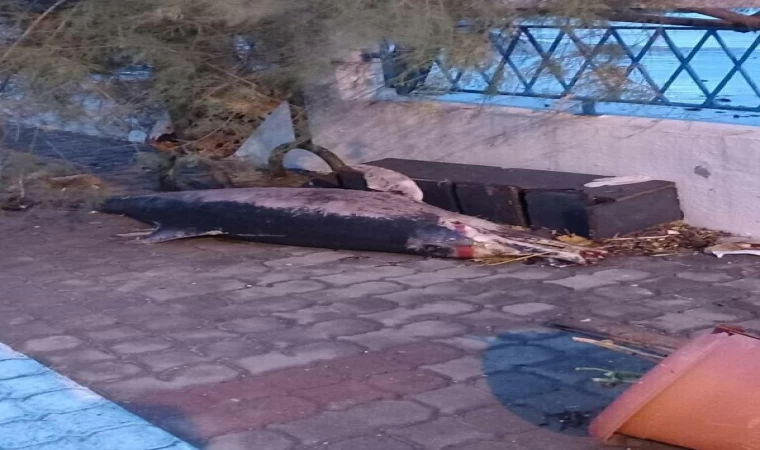 Çanakkale’de fırtına; 3 balıkçı teknesi battı (2)