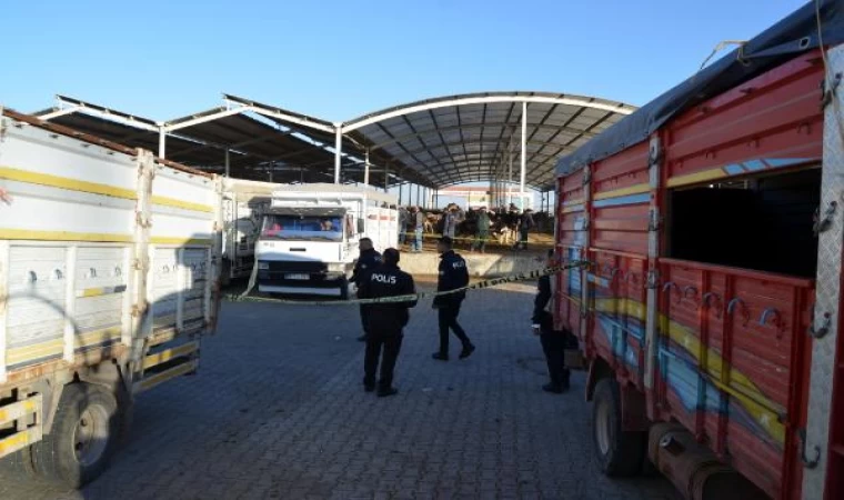 Hayvan pazarındaki kavgada 2 kardeş sırtından vuruldu