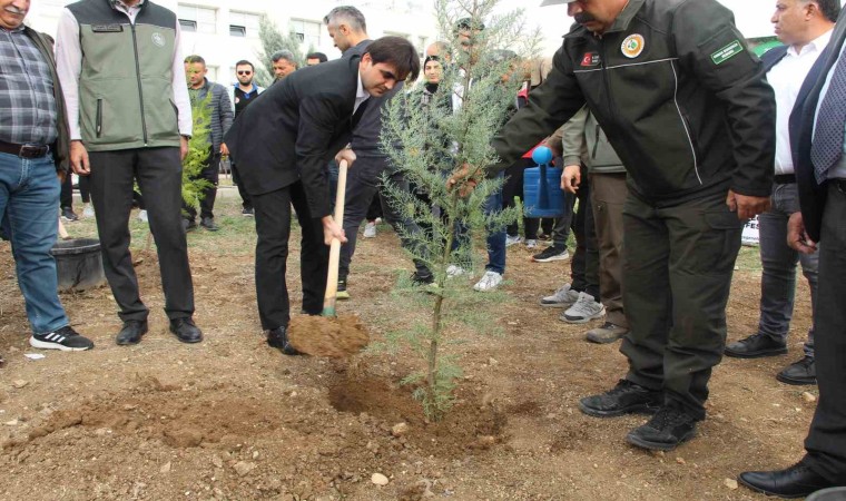 Şırnakta 250 bin fidan toprakla buluşacak