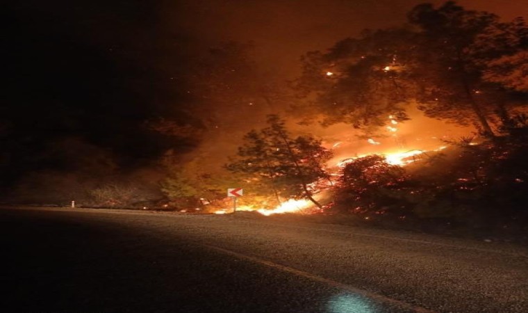 Taşağıl-Beşkonak yolunda orman yangını büyümeden söndürüldü