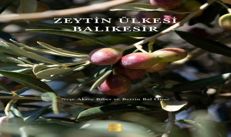 Zeytin ve ekmek kitapları Dünya Kitap Yarışmasında