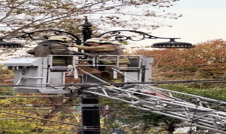 Fatih’te martıyı kurtaran itfaiye ekibine alkış