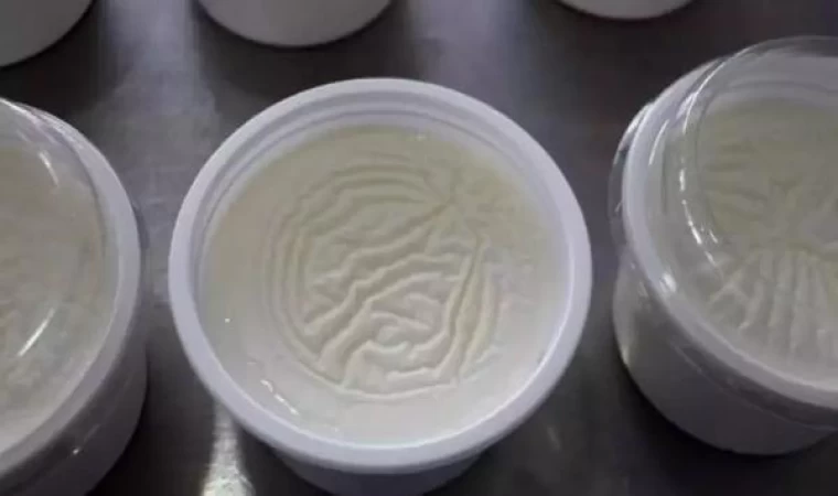 “Fermente besinler, geçirgen bağırsak sendromuna karşı koruyucu özellik gösteriyor”