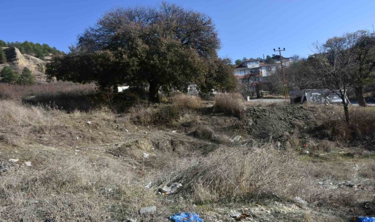 Koruma altındaki anıt ağacı için vatandaşlardan tepki