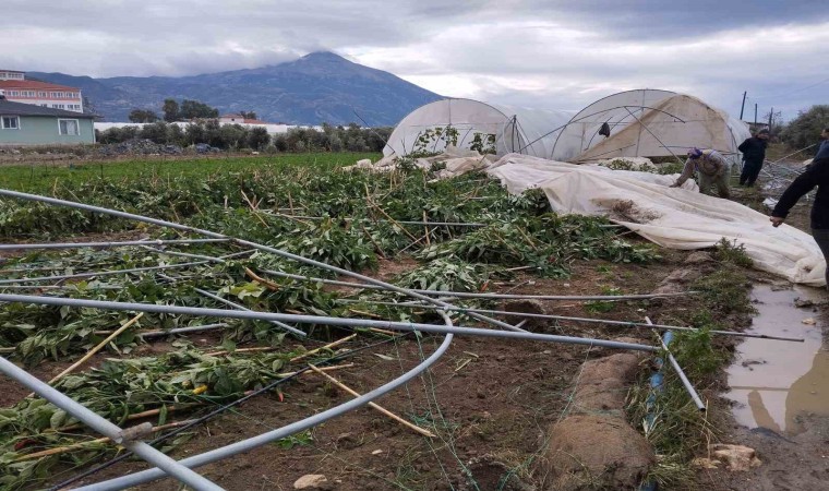 Samandağda çıkan hortum seraları yerle bir etti