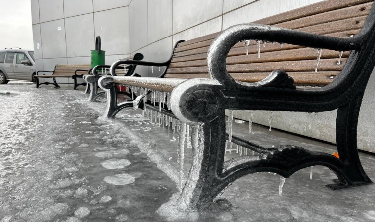 Ağrıda kar yağışının ardından don etkili oldu