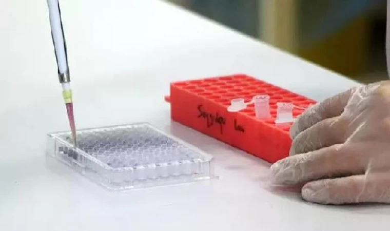 “Kanser cerrahisinde hedef, tekrarlama riskini yüzde 10’un altında tutmaktır”