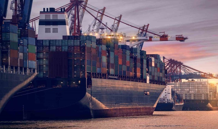 Aydının sarı altını, üretimde dünya birincisi İspanyada güçleniyor