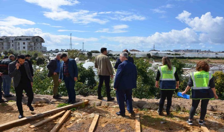 Büyükşehir Belediyesi, hortumdan etkilenen Alanyalı üreticilerin yaralarını sarıyor