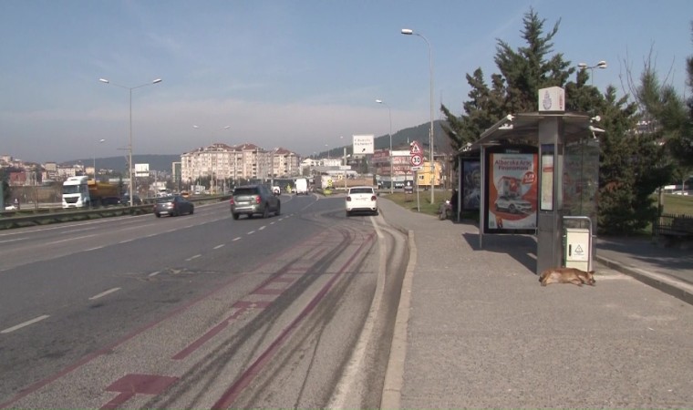 Çekmeköyde üniversite harcını yatırmaya giden genç kıza otomobil çarptı