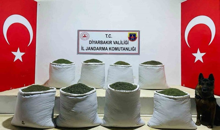 Diyarbakırda 169 kilo esrar ele geçirildi