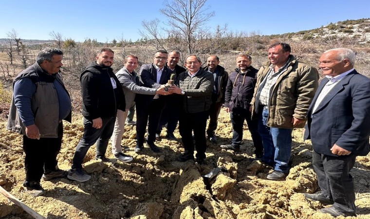 Mersinde biberiye fidanları toprakla buluşturuldu